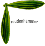 Arztpraxis Andrea Freudenhammer - Logo